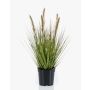 Planta artificial de hierba «Federborstengras» YWAIN con panículas, verde-beige, 45 cm