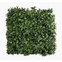 Esterilla de plantas artificiales / seto de hiedra ANKA, crossdoor, verde, 50 x 50 cm