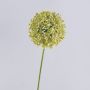 Allium artificial HELLA, purpurina, verde crema, 75 cm, Ø 11 cm