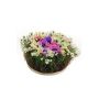 Arreglo floral decorativo de anémonas y margaritas IKAIA, multicolor, 12 cm, Ø 20 cm