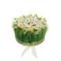 Arreglo floral artificial de narcisos y hierba HAULANI, blanco y amarillo, 12 cm, Ø 20 cm