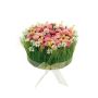 Arreglo floral artificial de margaritas con hierba HAULANI, rosa y blanco, 12 cm, Ø 20 cm