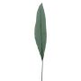 Hoja de palmera de zapatero artificial MALEKO, Colección Eco, verde, 80 cm