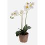 Orquídea artificial Phalaenopsis MINA en maceta de terracota, blanca, 45 cm