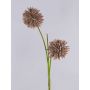 Espuma sintética Allium CHIRARA, marrón, 90 cm, Ø 10 cm