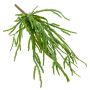 Rhipsalis de plástico colgante HADRIAN, verde, 35cm