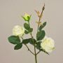 Rosa aterciopelada DELILAH, blanco crema, 55 cm, Ø 6 cm