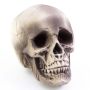Calavera de Halloween MATTY, beige-gris, LEDs, 21x15x16cm