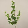 Rama de hiedra artificial DEXTER, verde, 65 cm