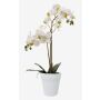 Orquídea Phalaenopsis artificial CANDIDA en maceta de cerámica, blanca, 65 cm