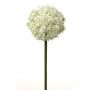 Allium de plástico SAMARA, crema, 75cm, Ø12cm