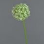 Allium de plástico SAMARA, crema, 75cm, Ø12cm