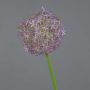Allium de plástico SAMARA, morado, 75cm, Ø12cm