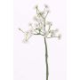 Margarita de plástico BELINA, blanca, 30cm, Ø1-1,5cm