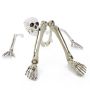 Figura decorativa de Halloween: partes de esqueleto ADALBERT con 5 estacas para clavar en el suelo, 19 cm, 45 cm, 66 cm