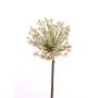Allium artificial ALEKA, crema, 90cm, Ø30cm