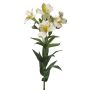 Lirio de plástico AUBERTA, verde-blanco, 75cm, Ø6cm