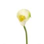 Flor textil Calla CHIDORA, crema, 55cm, 5x6cm