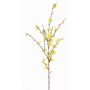 Rama de forsitia falsa IHRANI, floración, amarillo, 90cm, Ø1,5-4cm