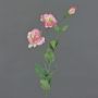 Lisianthus de imitación NOWA, rosa, 80cm, Ø7cm
