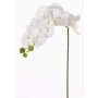 Rama de orquídea de plástico GALINA, crema, 45cm