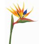 Estrelicia artificial LATIFA, naranja-morado, 80cm, 17x20cm