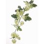 Rama de Viburnum artificial SOTRIO, verde, 85cm, Ø3-4cm
