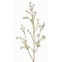 Flor de cera de plástico NIANG, crema, 80cm, Ø1,5-2,5cm