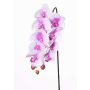 Rama de orquídea de plástico Phalaenopsis ENISA, rosa-blanca, 60cm, Ø7-8cm