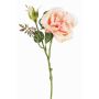 Rosa repollo de plástico JUDY, crema-rosa, 40cm, Ø9cm