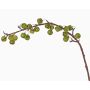 Rama de manzano falso BORIAN con frutos, verde, 95cm