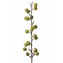 Rama de manzano falso BORIAN con frutos, verde, 95cm