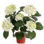 Flor artificial hortensia TEMARI, verde crema, 40cm, Ø10-12cm