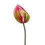 Flor artificial flor de flamenco GRUNT, verde-rosa, 75cm