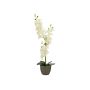 Orquídea textil Phalaenopsis KATALIN, maceta decorativa, color crema, 80 cm