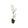 Orquídea Phalaenopsis de tela KATALIN, maceta decorativa, blanca, 80 cm