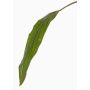 Hoja de cordiline de plástico ELARA, verde, 90cm