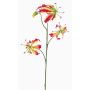 Gloriosa de imitación TIANA, fucsia-verde, 80cm, Ø8-15cm