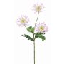 Crisantemo artificial SOLVIE, blanco-rosa, 70cm, Ø10cm