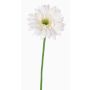 Gerbera de plástico HELLI, crema, 65cm, Ø12cm