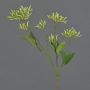 Rama decorativa de cornejo JOSIA con capullos, blanco-verde, 50cm