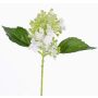 Hortensia artificial CHABY, blanco-verde, 30cm, Ø9cm