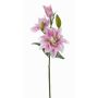 Lirio de plástico ISALIE, rosa-blanco, 80cm, Ø15cm