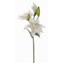 Lirio de plástico ISALIE, blanco-verde, 80cm, Ø15cm