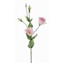 Lisianthus de plástico JUDIKA, rosa, 70cm, Ø5cm