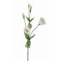 Lisianthus de plástico JUDIKA, blanco-verde, 70cm, Ø5cm