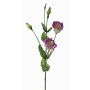 Lisianthus de plástico JUDIKA, verde-violeta, 70cm, Ø5cm