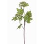 Planta falsa bola de nieve DEMI, verde, 60cm, Ø6-8cm
