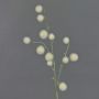 Allium artificial ornamental EMRAH, crema, 80cm, Ø2-4cm