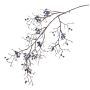Rama de plástico de Symphoricarpos GESA con bayas, azul, 100cm